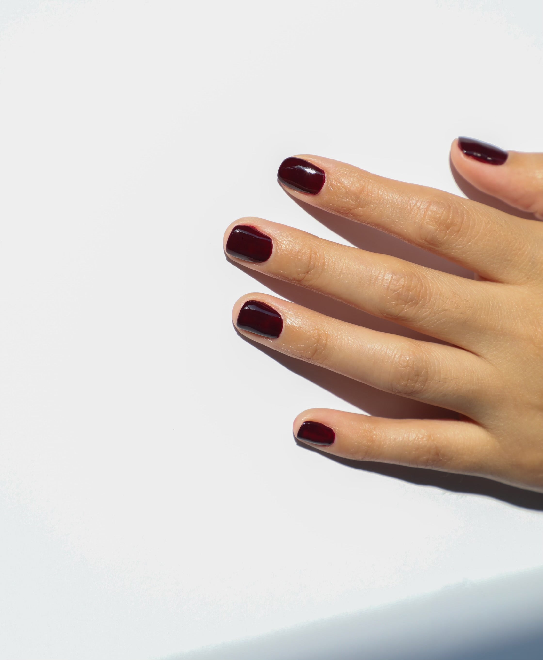 Merlot