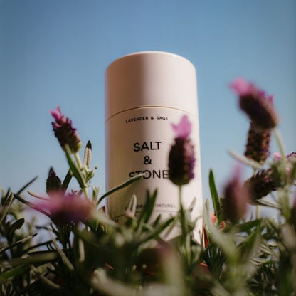 Salt &amp; Stone Natural Deodorant - LAVENDER &amp; SAGE (scent)